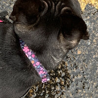 Ginny & Melanie Ashford avatar