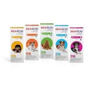 Bravecto For Dogs Topical 9.9 - 22 lbs 24 Weeks Supply