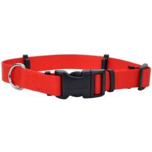 Coastal Pet Products Secure Away Adjustable Flea and Tick Collar Protector in Red, Size: 14"L x 1"W | PetSmart
