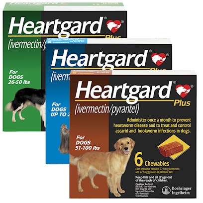 Heartgard Plus Chewables for Dogs Brown, 51-100 lbs, 1 Month Supply