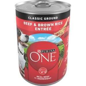 Purina One Wholesome Beef and Brown Rice Entree Canned Dog Food 13-oz, case of 12