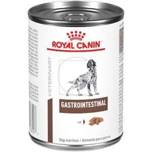 Royal Canin Veterinary Diet Canine Gastrointestinal Gel Canned Dog Food 24/13.6 oz. Cans
