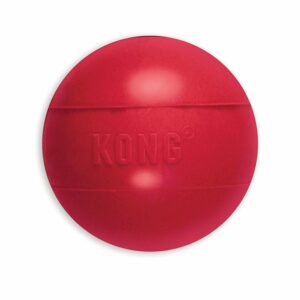 KONG Ball Dog toy - Medium/Large Ball