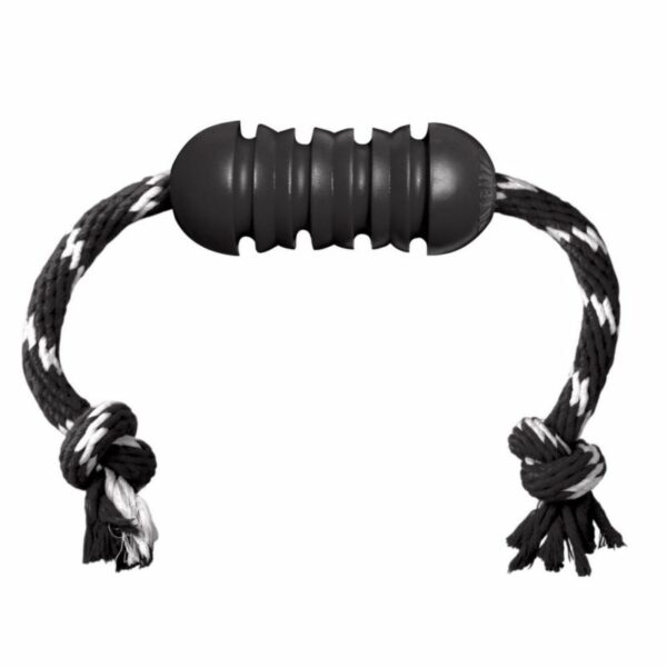 KONG Extreme Dental w/Rope Dog Toy