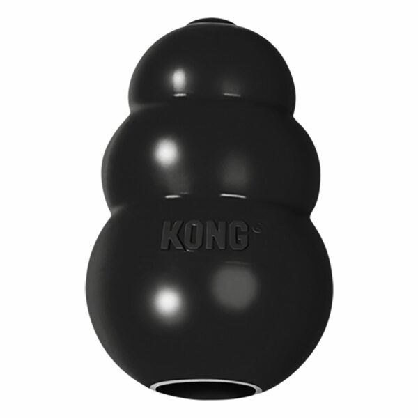 KONG Extreme Dog Toy -Treat Dispensing in Black, Size: King | PetSmart