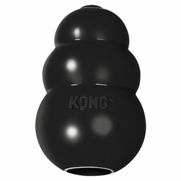 KONG Extreme Dog Toy -Treat Dispensing in Black, Size: Large | PetSmart