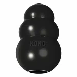 KONG Extreme Dog Toy -Treat Dispensing in Black, Size: XL | PetSmart