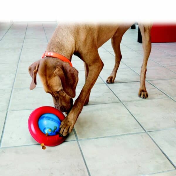 KONG Gyro Treat Dispensing Dog Toy Large