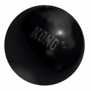 Kong Extreme Ball Dog Toy | Medium