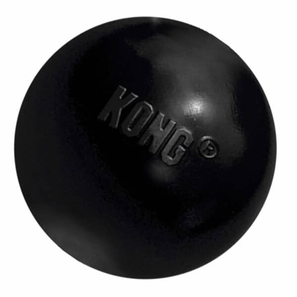 Kong Extreme Ball Dog Toy | Medium