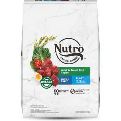 Nutro Wholesome Essentials Large Breed Puppy Pasture-Fed Lamb & Rice Dry Dog Food 30-lb