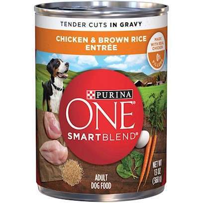 Purina ONE Tender Cuts Wholesome Chicken Canned Dog Food 13-oz, case of 12