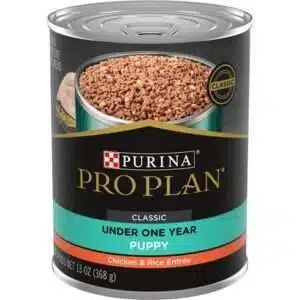Purina Pro Plan Focus Puppy Chicken and Rice Canned Dog Food 13-oz, case of 12