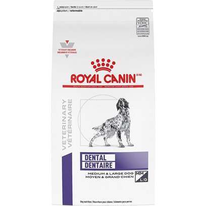 Royal Canin Veterinary Care Nutrition Canine Dental Medium and Large Dry Dog Food 17.6 Lb Bag