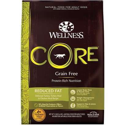 Wellness Core Natural Grain Free Reduced Fat Weight Management Turkey and Chicken Recipe Dry Dog Food 4-lb