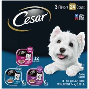 (24 Pack) CESAR Wet Dog Food Filets in Gravy Filet Mignon New York Strip and Prime Rib Flavors Variety Pack 3.5 oz. Easy Peel Trays