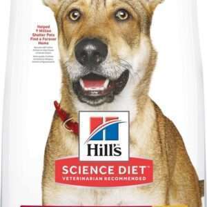 Hill's Science Diet Adult Chicken & Barley Recipe Dry Dog Food - 15 lb Bag