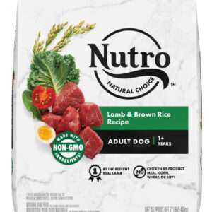 Nutro Natural Choice Adult Lamb & Brown Rice Recipe Dry Dog Food - 12 lb Bag