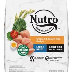Nutro Natural Choice Large Breed Adult Chicken & Brown Rice Recipe Dry Dog Food - 60 lb Bag (2 x 30 lb Bag)