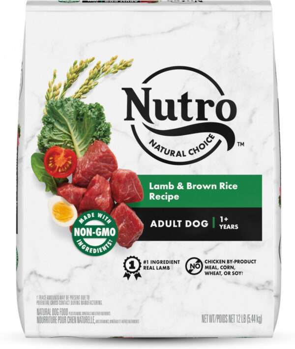 Nutro Wholesome Essentials Healthy Weight Adult Pasture-Fed Lamb & Rice Recipe Dry Dog Food - 30 lb Bag