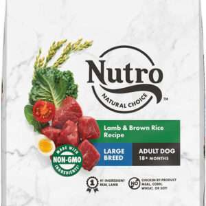 Nutro Wholesome Essentials Large Breed Adult Pasture-Fed Lamb & Rice Dry Dog Food - 60 lb Bag (2 x 30 lb Bag)