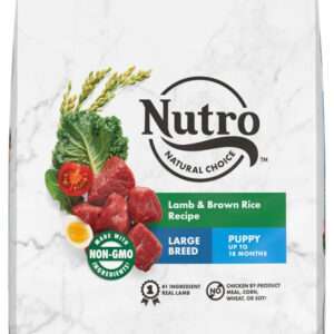 Nutro Wholesome Essentials Large Breed Puppy Pasture-Fed Lamb & Rice Dry Dog Food - 30 lb Bag