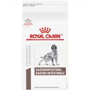 Royal Canin Veterinary Diet Canine Gastrointestinal Dry Dog Food - 22 lb Bag