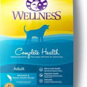 Wellness Complete Health Natural Adult Whitefish & Sweet Potato Recipe Dry Dog Food - 15 lb Bag