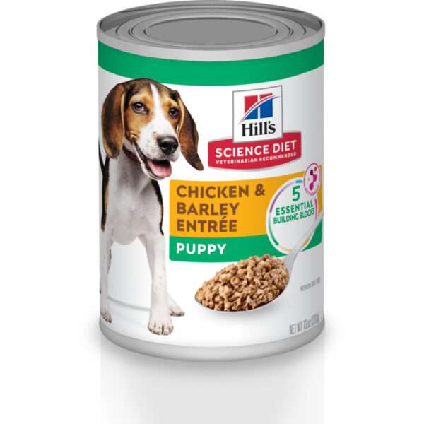 Hill's Science Diet Puppy Chicken & Barley Entree Canned Dog Food - 13 oz, case of 12