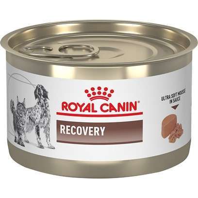 Royal Canin Recovery Ultra Soft Mousse in Sauce Canned Cat & Dog Food 5.1 oz, case of 24