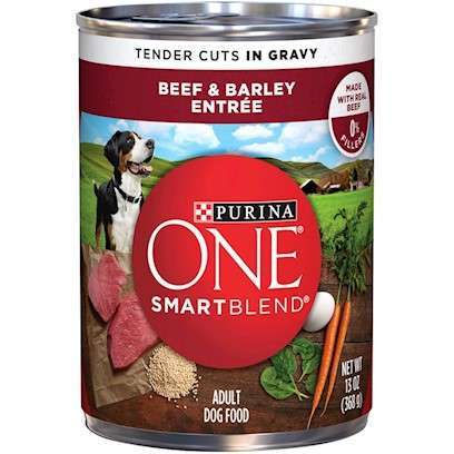 Purina ONE Tender Cuts Wholesome Beef and Barley Canned Dog Food 13-oz, case of 12