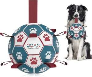 QDAN strapped soccer ball