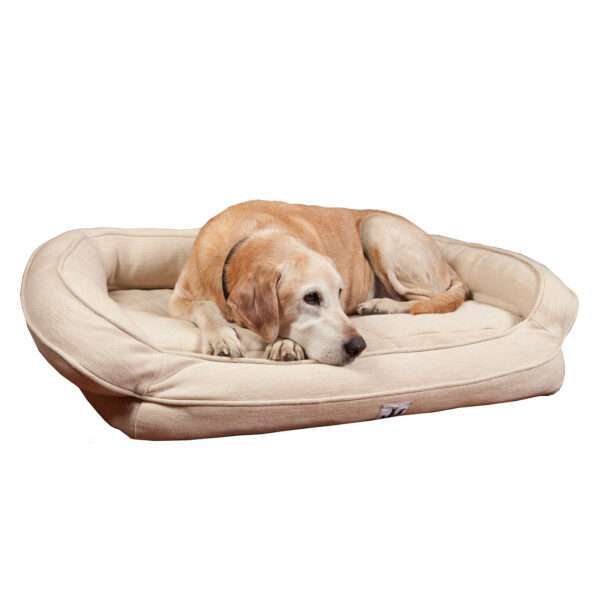 3 Dog Personalized EZ Wash Premium Memory Foam Bolster Dog Bed, 38" L X 26" W X 10" H, Ivory, Medium, Cream