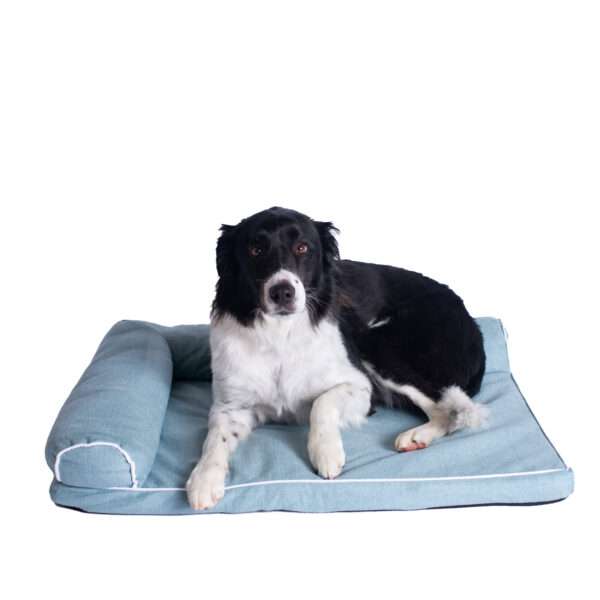 Armarkat Memory Foam Dog Bed, 31" L X 23" W X 7" H, Soothing Blue, Medium