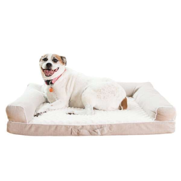 Armarkat Memory Foam Dog Bed, 35" L X 28" W X 8" H, Ivory, Medium, Tan / Cream