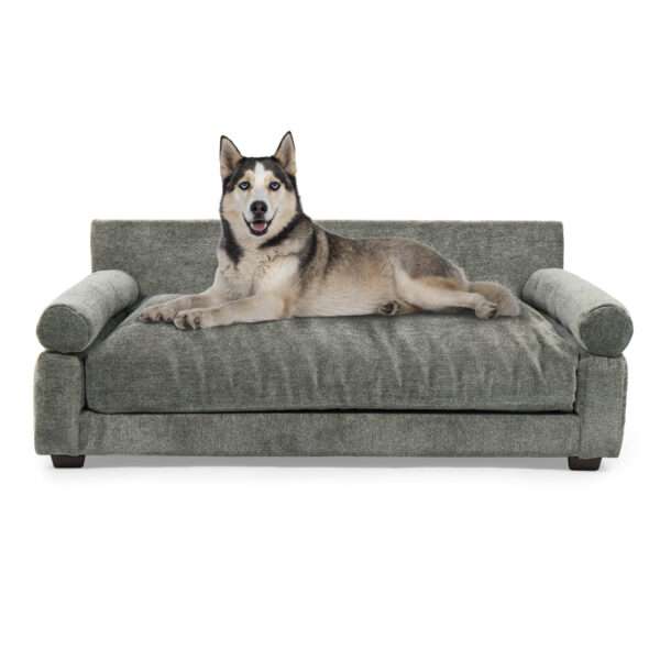 Club Nine Pets Blake Orthopedic Dog Bed, 40" L X 26" W X 16" H, Charcoal, Large, Grey