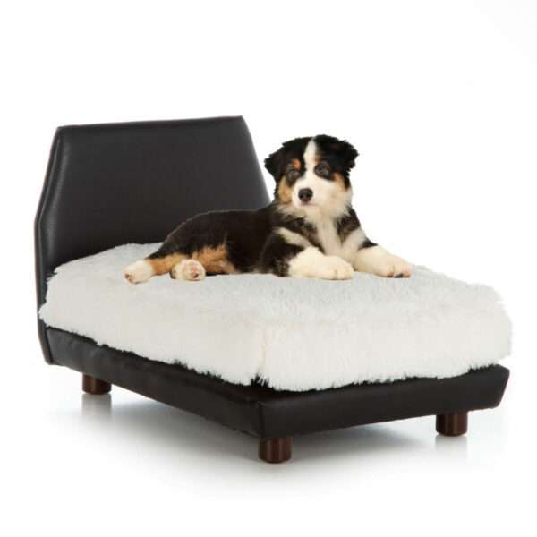 Club Nine Pets Lido Orthopedic Dog Bed, 18" L X 20" W X 18" H, Ivory, Small