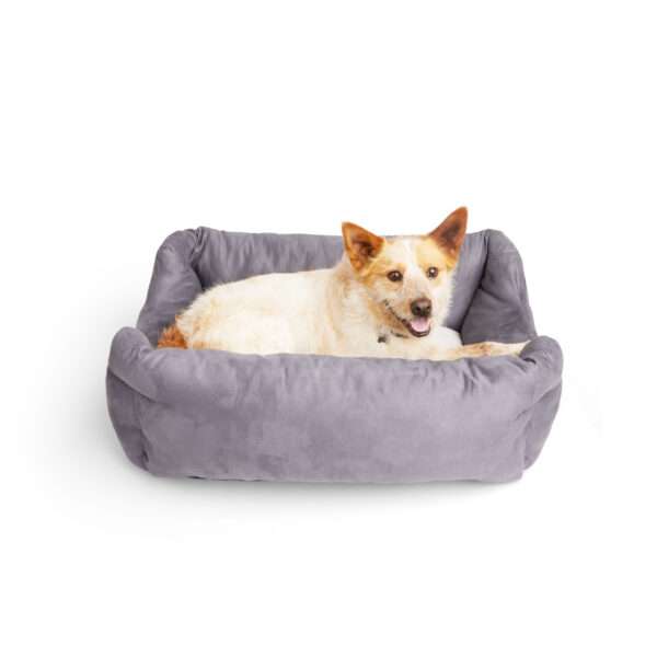 EveryYay Burrow Dog Bed, 24" L X 18" W X 10" H, Small