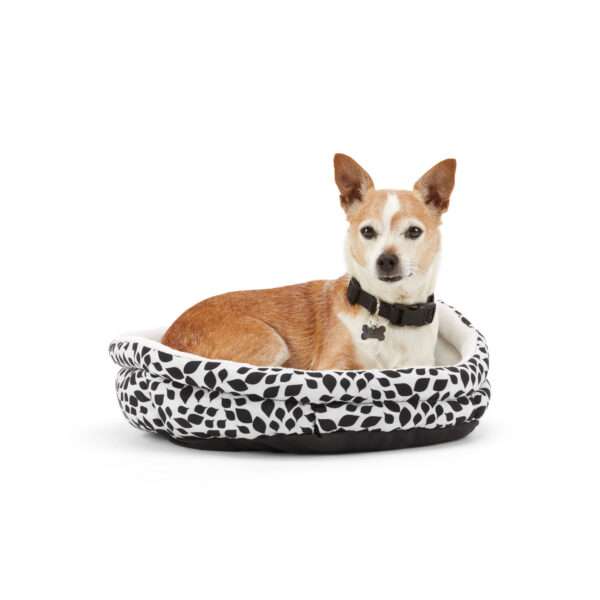 EveryYay Essentials Snooze Fest Black Floral-Print Cuddler Dog Bed, 19" L X 17" W, Small