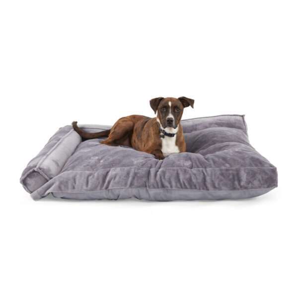 EveryYay Essentials Snooze Fest Grey Corner Dog Bed, 48" L X 36" W, X-Large