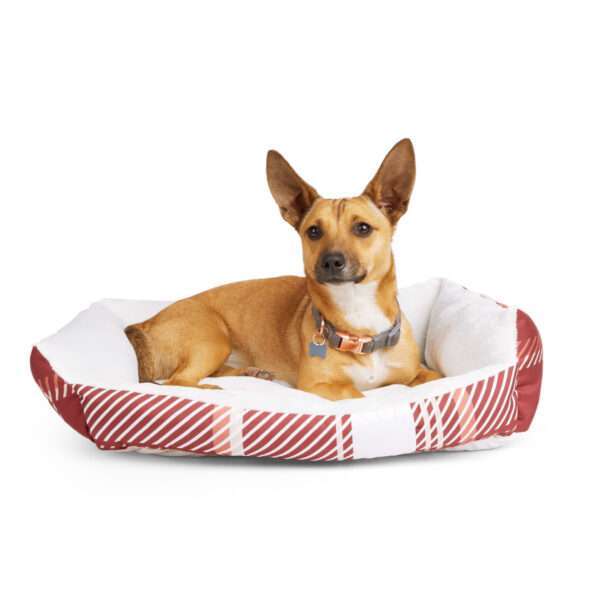 EveryYay Essentials Snooze Fest Round Nester Dog Bed, 24" L X 18" W X 5" H, Red, Small