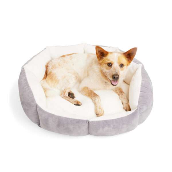 EveryYay Lavender Orthopedic Dog Bed, 32" L X 24" W, Medium