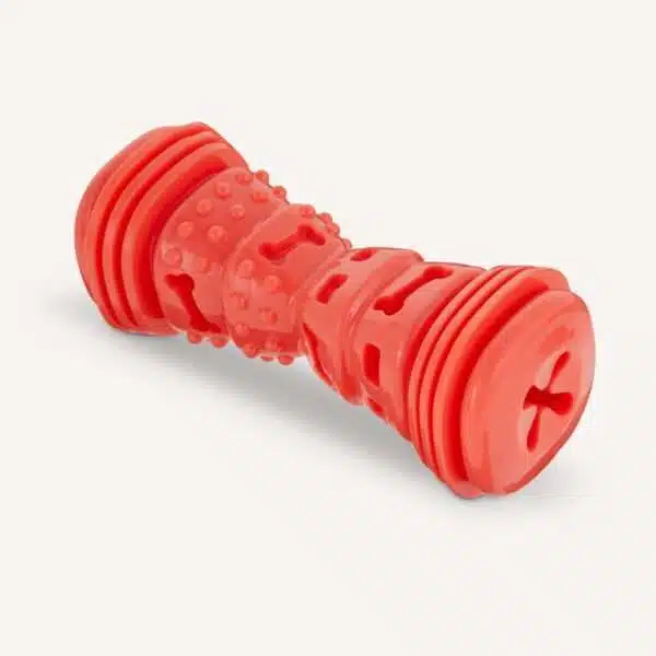 Joyhound Chew Well Bully Stick Treat Dispenser Dog Toy, Size: Medium | PetSmart