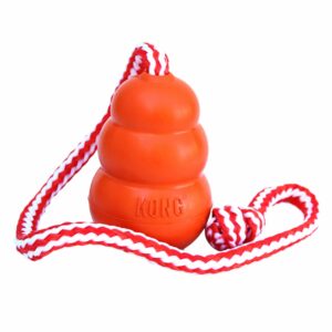 KONG Aqua Dog Toy, Large, Orange