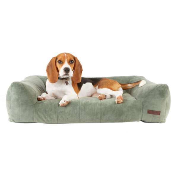 Reddy Quilted Lounger Dog Bed