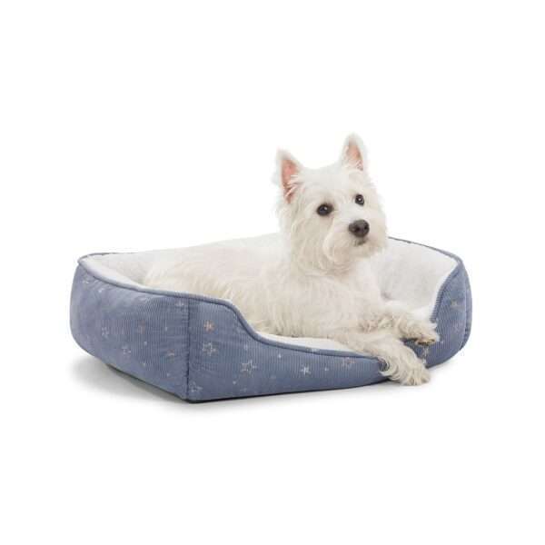 Top Paw Blue Star Cuddler Dog Bed, Size: 18"L x 22"W 6.5"H | Polyester PetSmart