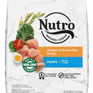 Nutro Wholesome Essentials Puppy Farm-Raised Chicken, Brown Rice & Sweet Potato Dry Dog Food - 5 lb Bag