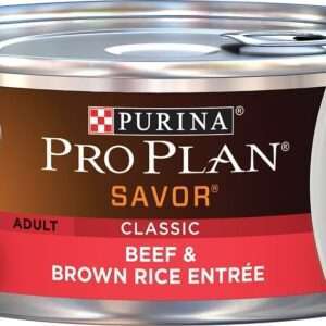 Purina Pro Plan Savor Adult Beef & Brown Rice Canned Dog Food - 5.5 oz, case of 24