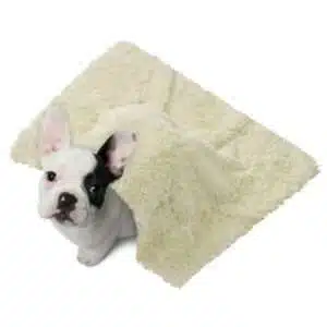 FairOnly Waterproof Medium Dog Blanket Soft Warm Fluffy Faux Fur Fleece Puppy Blankets Pet Blanket for Furniture Beige 32 x39