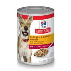 Hill's Science Diet Adult Chicken & Barley Entree Canned Dog Food - 13 oz, case of 12